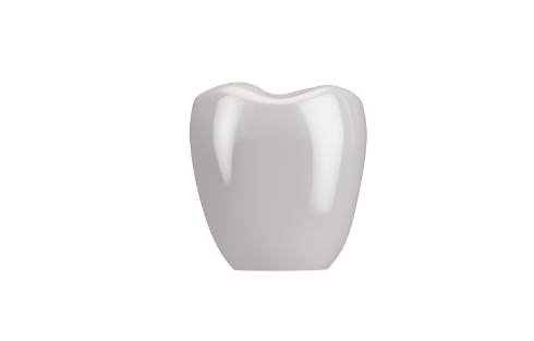 白い被せる歯（上部構造）